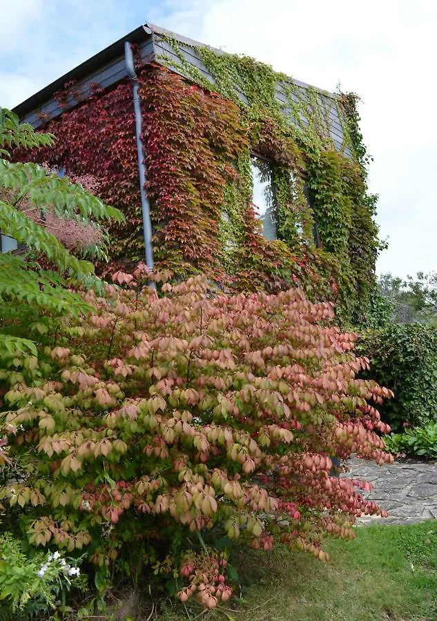 Jardin De Belle Vue Hotel Quimperle Guest house